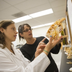 two people looking at an animal skeleton